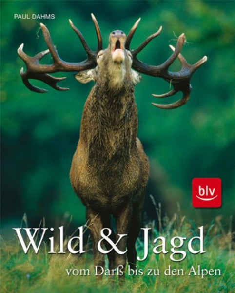Wild & Jagd